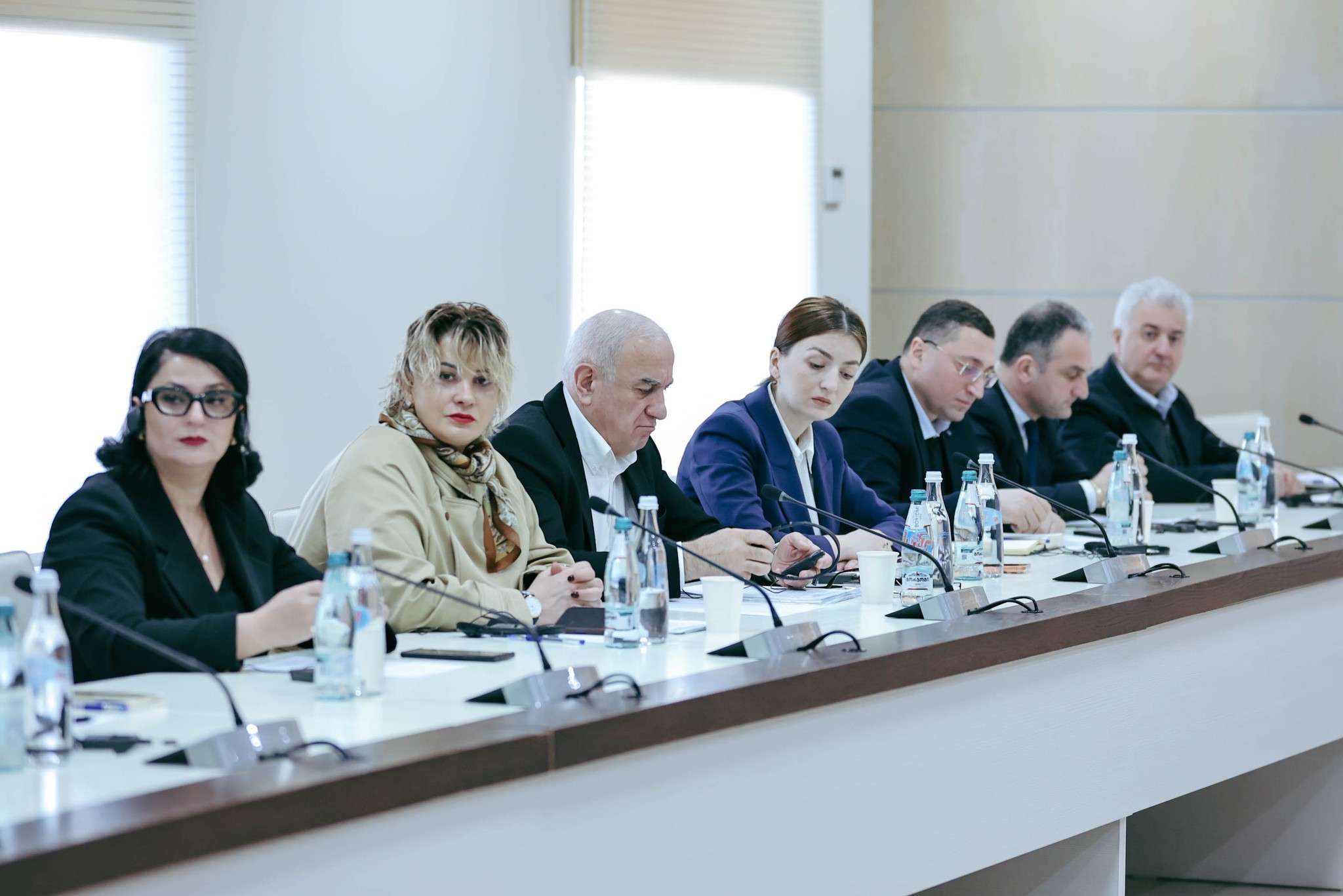 შეხვედრა მცხეთის სივრცით-ტერიტორიული განვითარების მართვის დოკუმენტაციის შემუშავების საკითხებზე UNESCO-ს მსოფლიო მემკვიდრეობის ცენტრისა და მისი მრჩეველი ორგანოების წარმომადგენლებთან